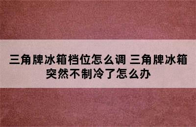 三角牌冰箱档位怎么调 三角牌冰箱突然不制冷了怎么办